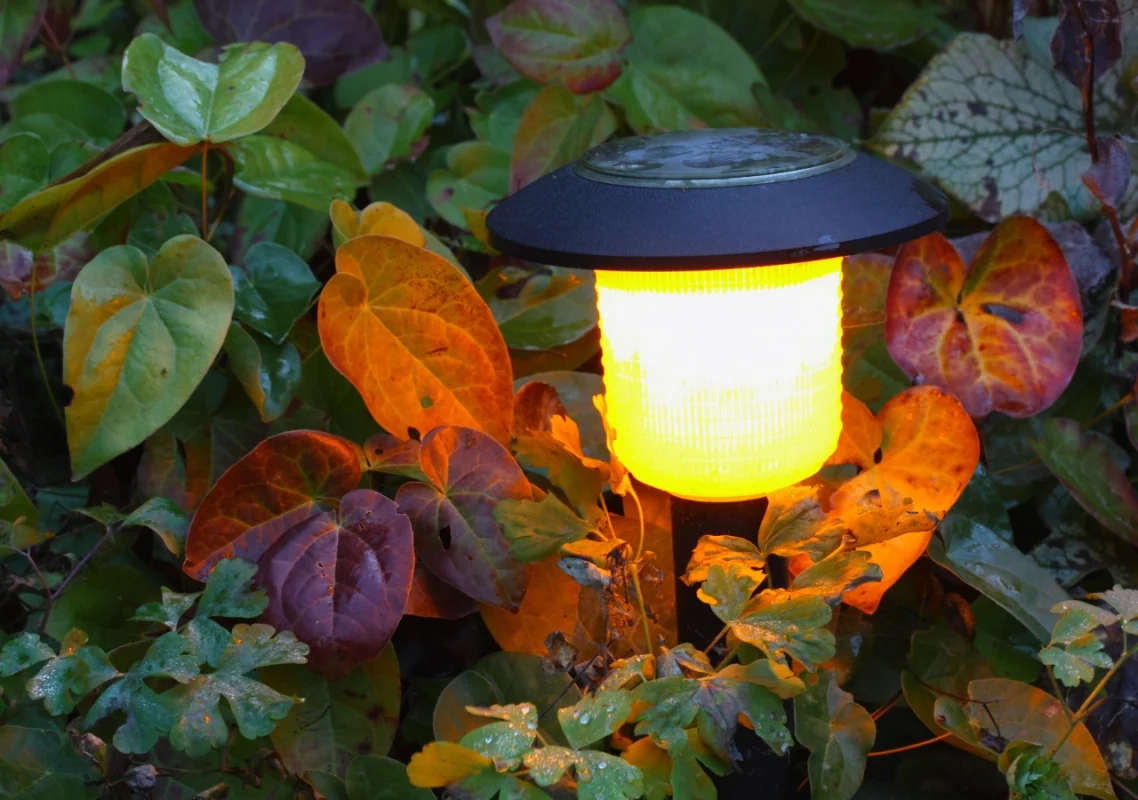 Solarna lampa u punom sjaju okružena šarenim lišćem